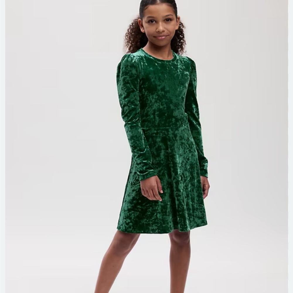 Gap “Velvet Skater Dress”. Size small